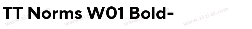 TT Norms W01 Bold字体转换 TT Norms W01 Bold字体转换